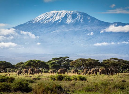 tanzania/mount-kilimanjaro/landmark/mt-kilimanjaro