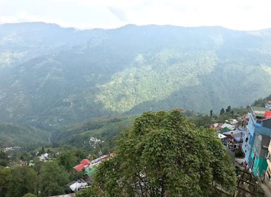india/darjeeling/landmark/nathmull-s-tea-shop