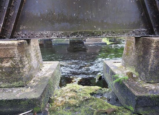 florida/big-bend/landmark/steinhatchee-springs-wildlife-management-area