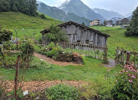 austria/vorarlberg/landmark/natur-erlebnispark-holdamoos