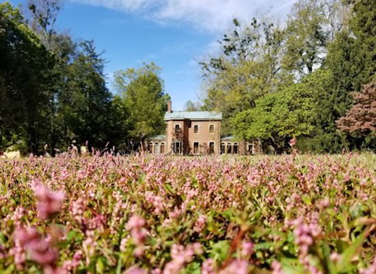 kentucky/bluegrass-region/landmark/ashland-the-henry-clay-estate