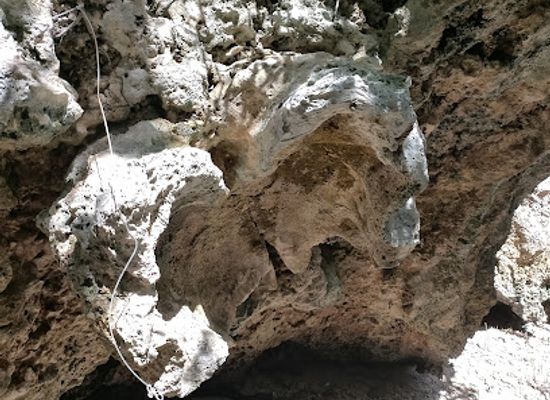 philippines/bohol/landmark/fossilized-clam