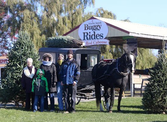 pennsylvania/amish-country/landmark/a-is-for-amish-buggy-rides