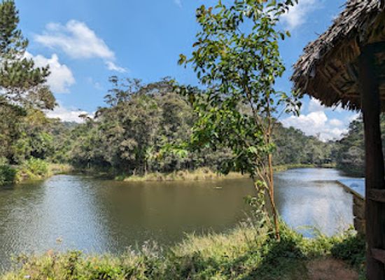 madagascar/vakinankaratra/landmark/reserve-speciale-d-analamazoatra