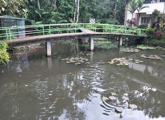 philippines/davao-city/landmark/philippine-eagle-center