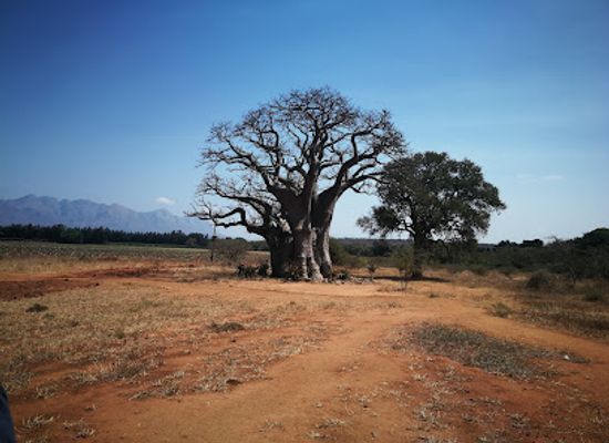 south-africa/bushveld/landmark/ndlovumzi-nature-reserve