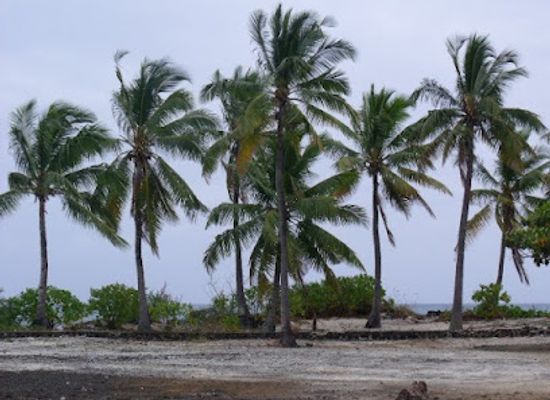 comoros/mitsamiouli/landmark/mitsamihuli-mjini