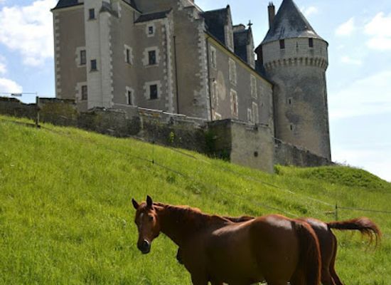 france/limousin/landmark/chateau-de-montpoupon