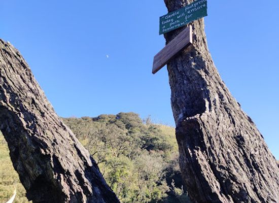 india/nagaland/landmark/dzuko-valley
