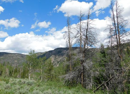wyoming/albany-county/landmark/rawah-wilderness