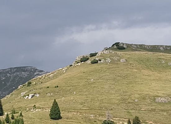 romania/parang-mountains/landmark/padurea-colorata