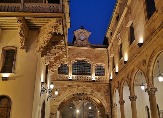 spain/salamanca/centro/landmark/palacio-de-la-salina