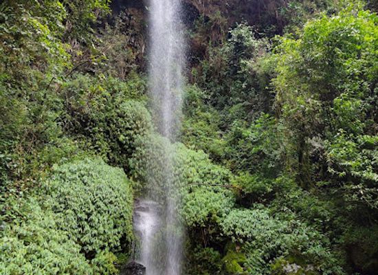 colombia/risaralda-department/landmark/the-pastora-regional-park-natural-ucumari