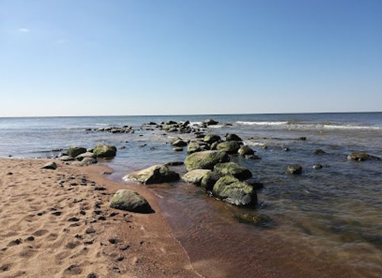 lithuania/palanga-beach/landmark/palangos-gintaro-muziejus