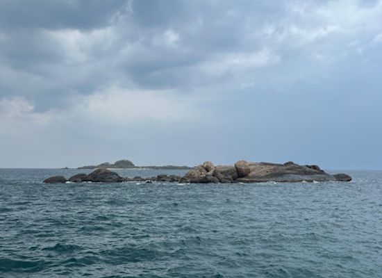 sri-lanka/trincomalee-district/landmark/trincomalee-swim-with-blue-whales-diving-centre