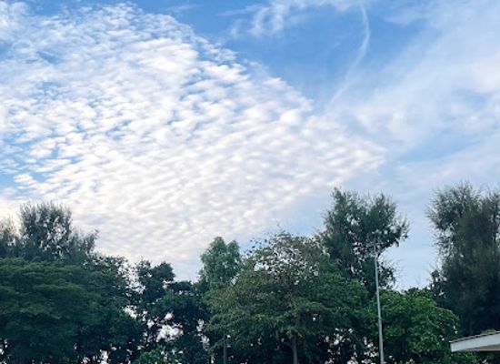 singapore/katong/landmark/east-coast-park-area-c