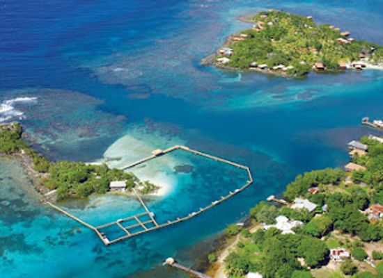 honduras/bay-islands/landmark/roatan-institute-for-marine-sciences
