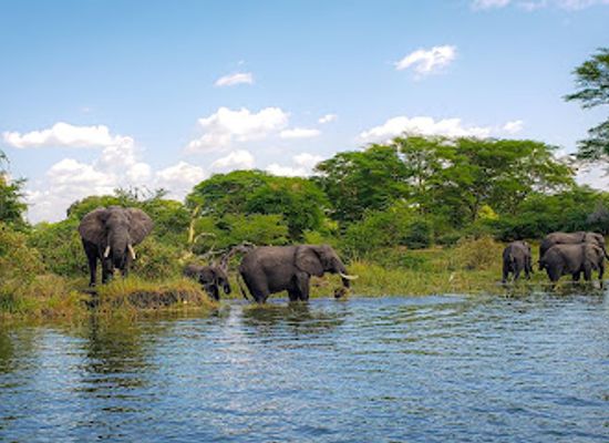 malawi/majete-wildlife-reserve/landmark/liwonde-national-park