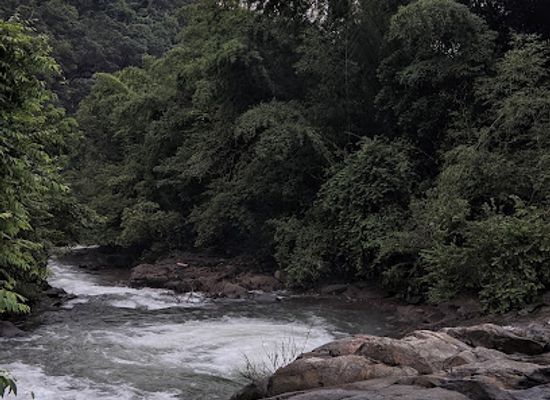 india/kerala/landmark/kannadikayam