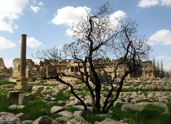 lebanon/koura/landmark/temple-of-bacchus