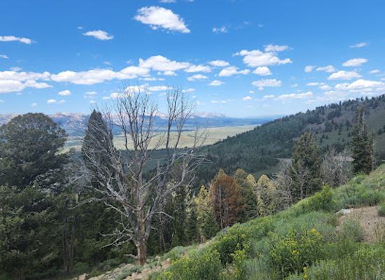idaho/ketchum/landmark/el-nino-y-pupuseria