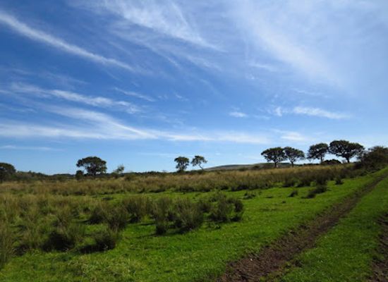 united-kingdom/west-lothian/attraction/linhouse-glen-2