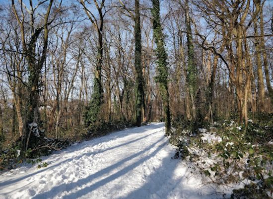 belgium/louvain-la-neuve/landmark/palette-woods