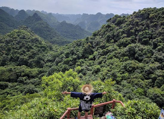 vietnam/cat-ba-island/landmark/dinh-ngu-lam