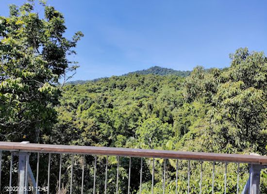 australia/cape-tribulation/landmark/jindalba-boardwalk