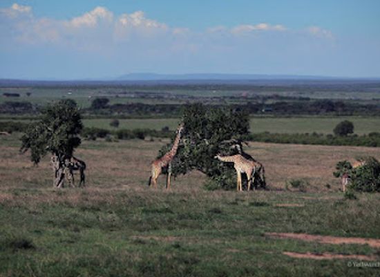 kenya/maasai-mara/landmark/maasai-mara-national-reserve