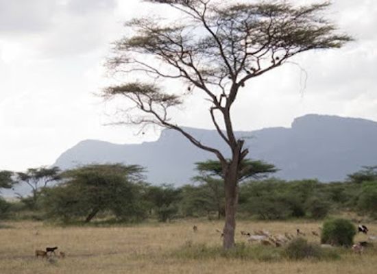 kenya/samburu-region/landmark/shaba-national-reserve