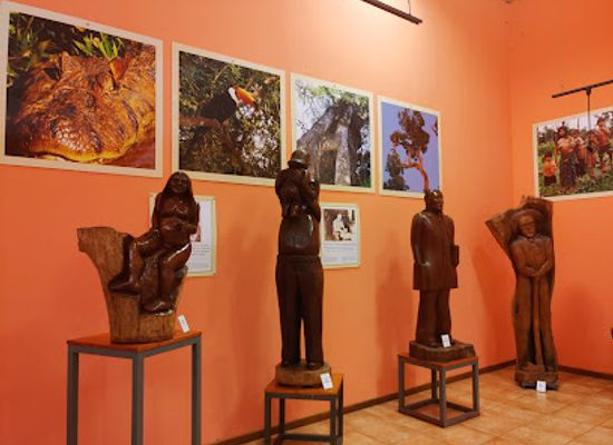 argentina/puerto-iguazu/landmark/museo-imagenes-de-la-selva
