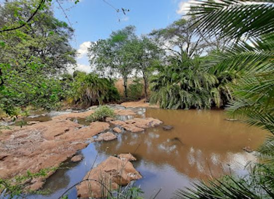 kenya/eastern-region/landmark/meru-national-park