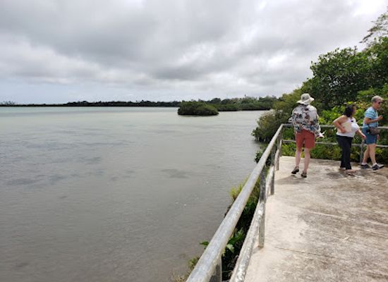 tonga/tongatapu/landmark/captain-cook-landing-site
