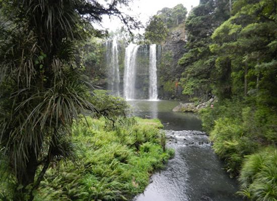 new-zealand/whangarei/landmark/whangarei-falls