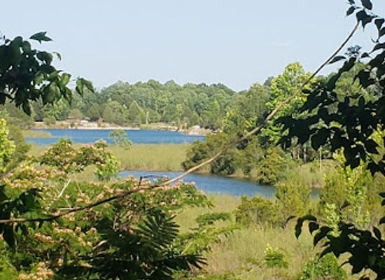 alabama/alabama-coastal-birding-trail/landmark/st-stephens-historical-park