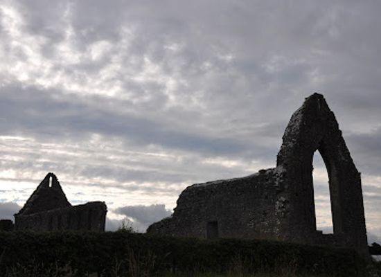 ireland/county-roscommon/landmark/roscommon-friary