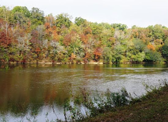 alabama/alabama-coastal-birding-trail/landmark/horseshoe-bend-national-military-park