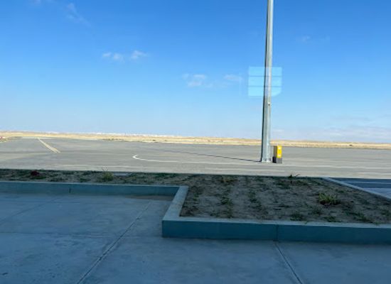 angola/namibe-desert/landmark/welwitschia-mirabilis-international-airport