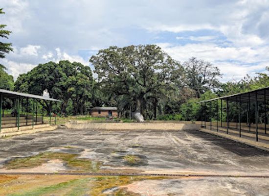 burundi/imbo-plain/landmark/living-museum-bujumbura-zoo