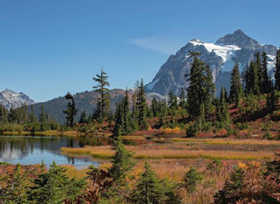 washington/mount-baker/landmark/mount-baker-wilderness