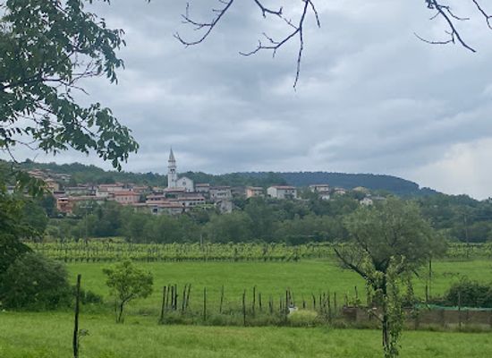 slovenia/nova-gorica/landmark/lepa-vida-winery