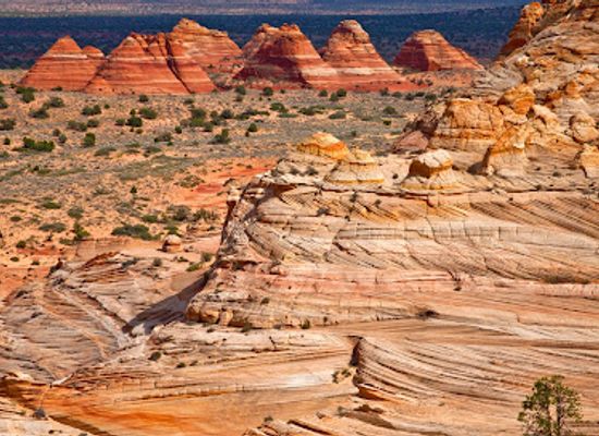 arizona/kaibab-national-forest/landmark/melody-arch