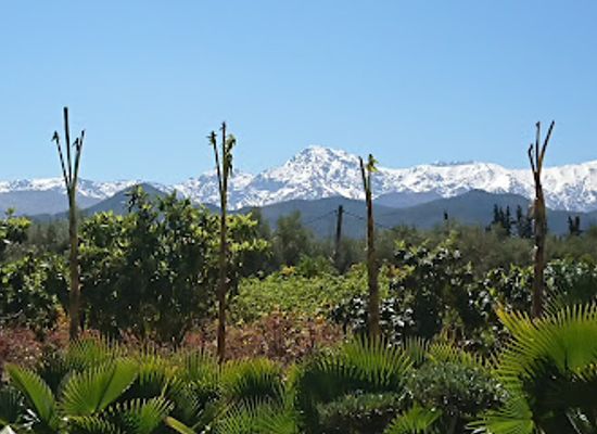 morocco/ourika-valley/landmark/paradis-du-safran-maroc