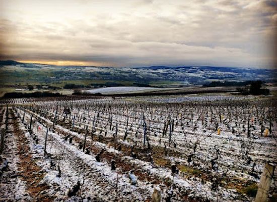 france/burgundy-vineyards/landmark/domaine-du-beauregard