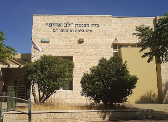 israel/modi-in/landmark/beit-knesset-lev-achim
