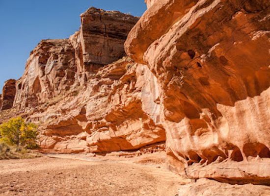 utah/canyonlands/landmark/horseshoe-canyon