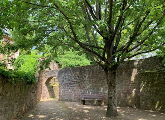 germany/upper-palatinate/landmark/wallmauer-bastion-pfalzel