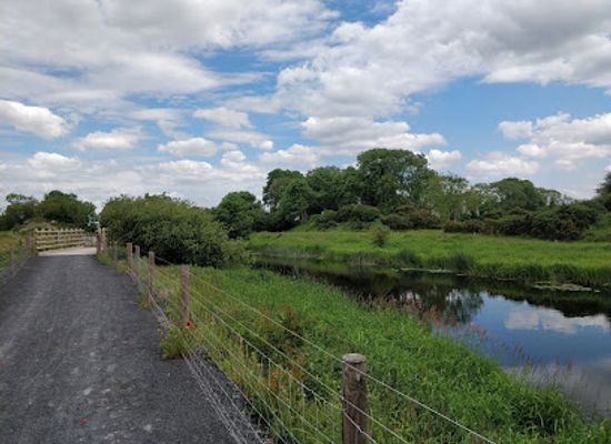 ireland/county-longford/landmark/newcastle-wood-walk