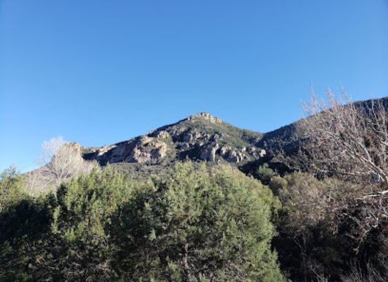 arizona/coronado-national-forest/landmark/ramsey-canyon-preserve